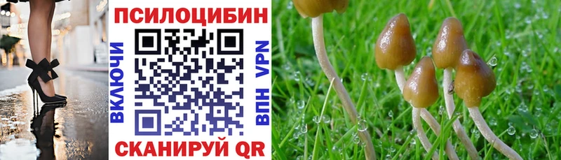 Галлюциногенные грибы прущие грибы  darknet формула  Тосно 